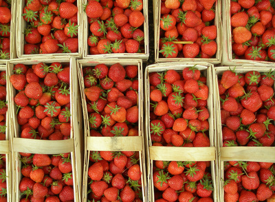 Foto: Peter Smola www.pixelio.de